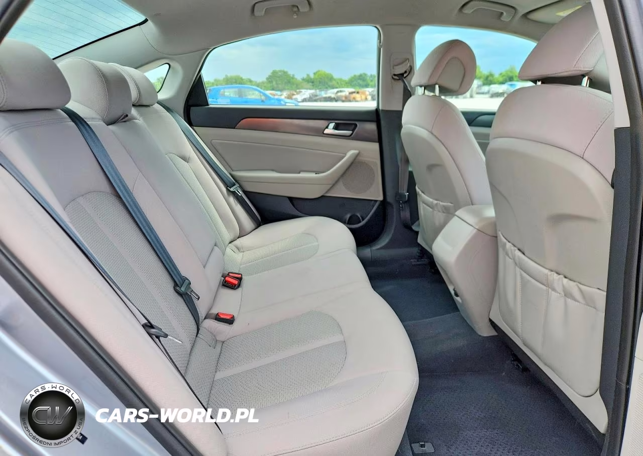 2017 Hyundai Sonata Sport VIN:5NPE34AF9HH438764 - 10
