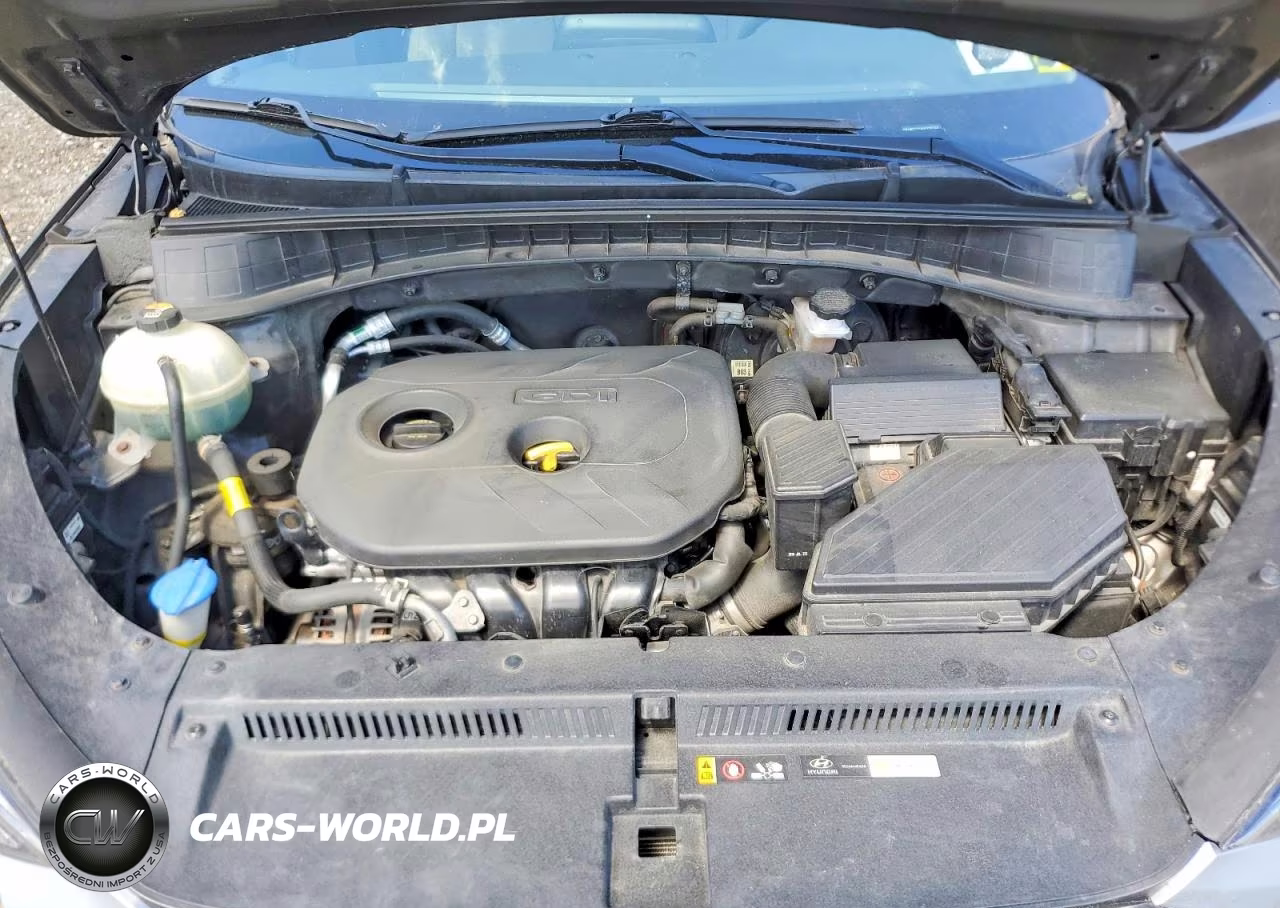 2019 Hyundai Tucson Se VIN:KM8J2CA46KU023744 - 12