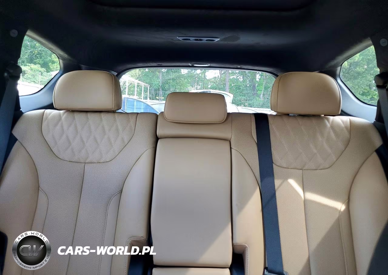 2023 Hyundai Santa Fe Calligraphy VIN:5NMS5DAL2PH653269 - 10