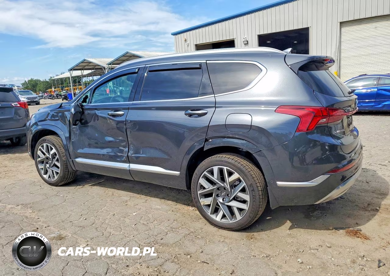 2023 Hyundai Santa Fe Calligraphy VIN:5NMS5DAL2PH653269 - 2