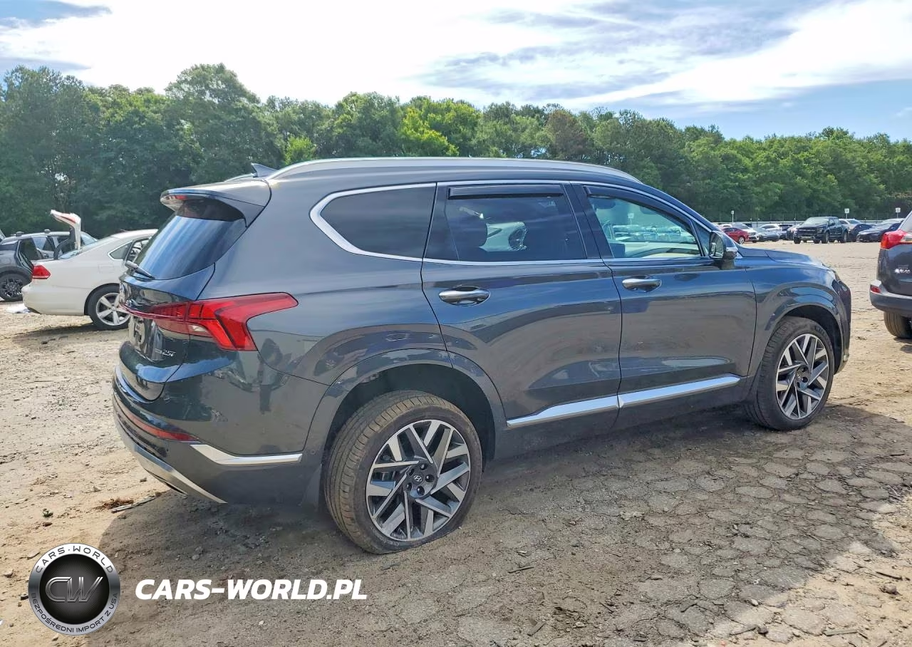 2023 Hyundai Santa Fe Calligraphy VIN:5NMS5DAL2PH653269 - 3