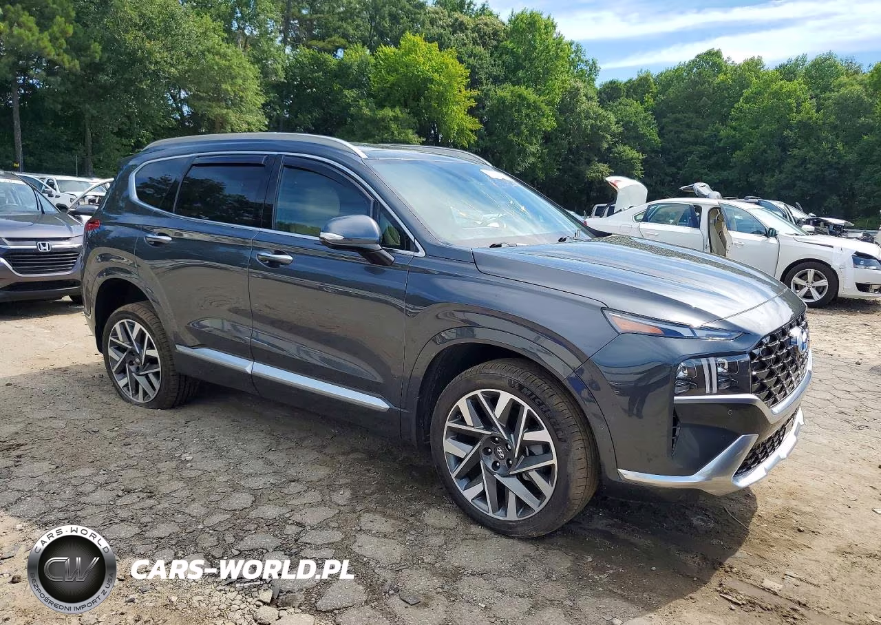 2023 Hyundai Santa Fe Calligraphy VIN:5NMS5DAL2PH653269 - 4