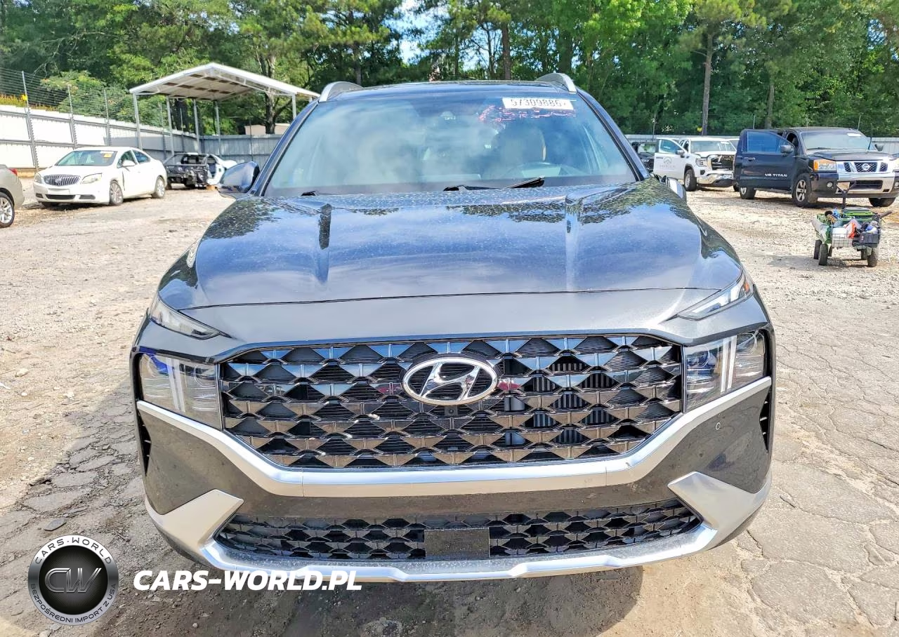 2023 Hyundai Santa Fe Calligraphy VIN:5NMS5DAL2PH653269 - 5