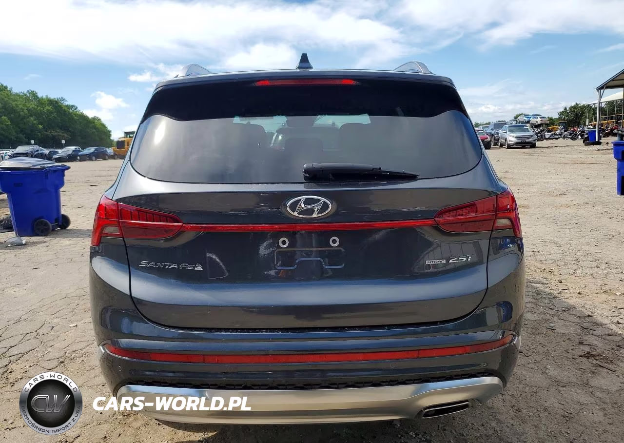2023 Hyundai Santa Fe Calligraphy VIN:5NMS5DAL2PH653269 - 6