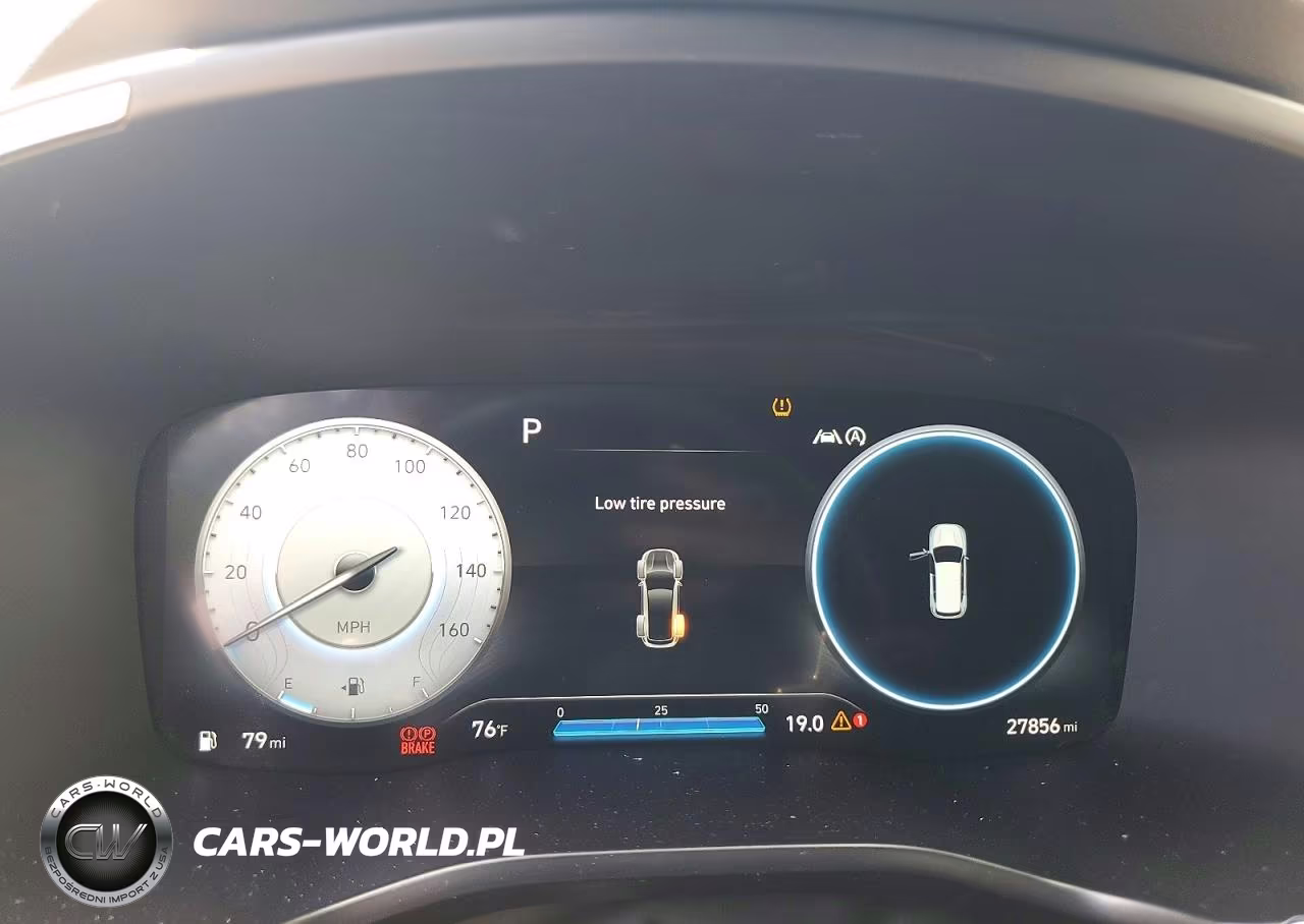 2023 Hyundai Santa Fe Calligraphy VIN:5NMS5DAL2PH653269 - 9