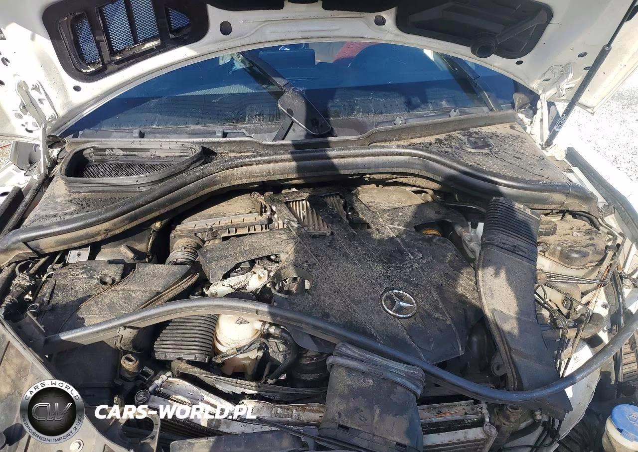 2019 Mercedes-Benz Gls 450 4Matic VIN:4JGDF6EE7KB220388 - 12