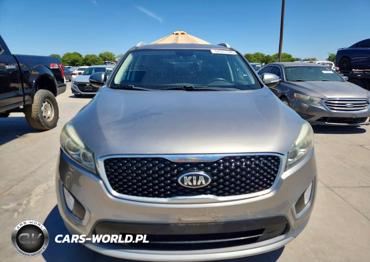 2017 Kia Sorento Ex VIN:5XYPH4A56HG289142 - 5