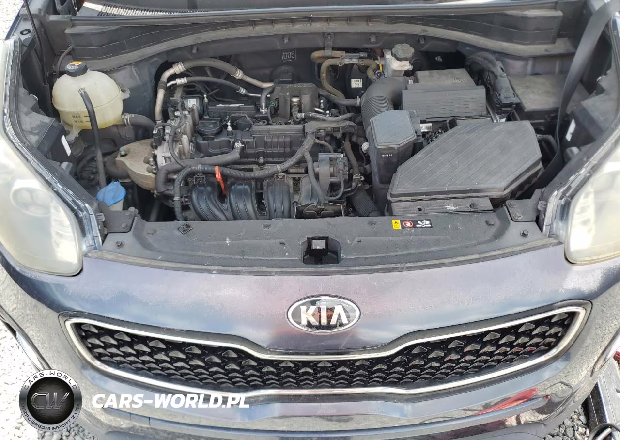 2017 Kia Sportage Ex VIN:KNDPN3ACXH7075284 - 12