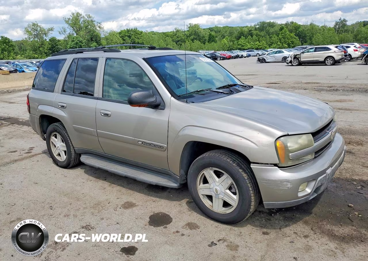 2002 Chevrolet Trailblazer VIN:1GNDT13S122343636 - 4