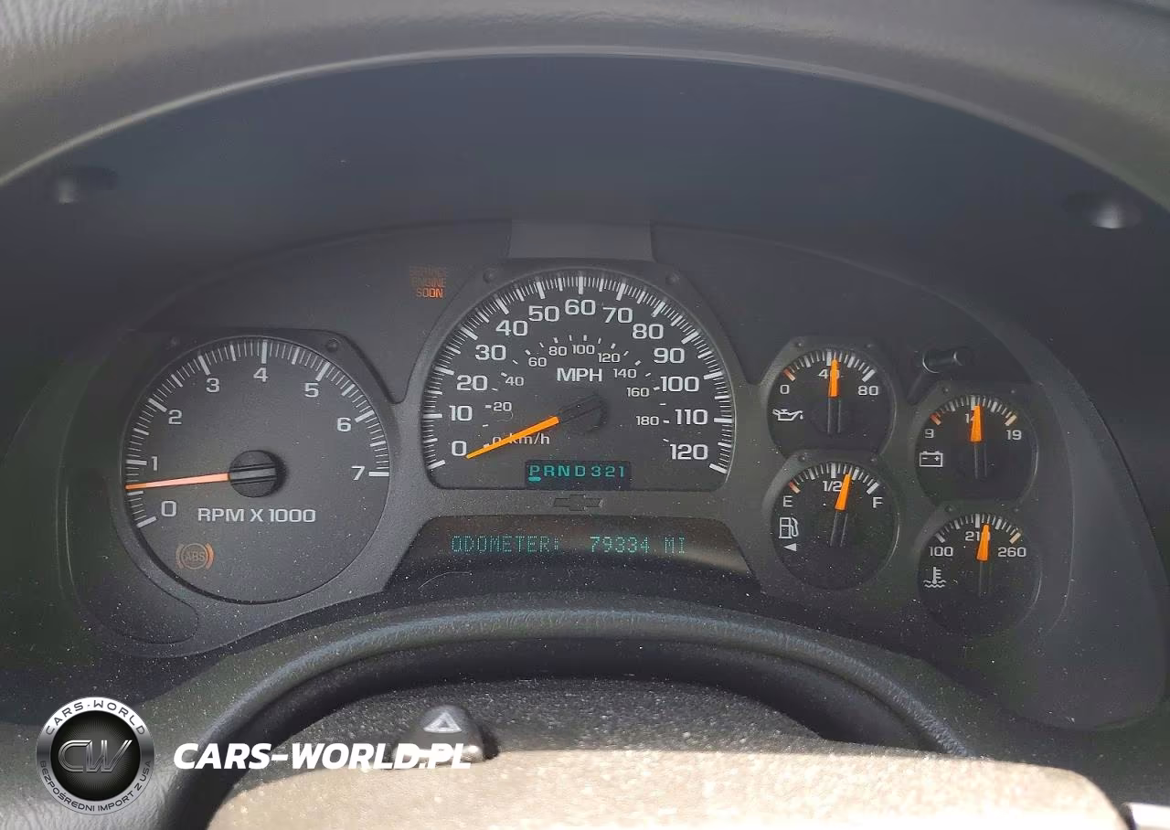 2002 Chevrolet Trailblazer VIN:1GNDT13S122343636 - 9