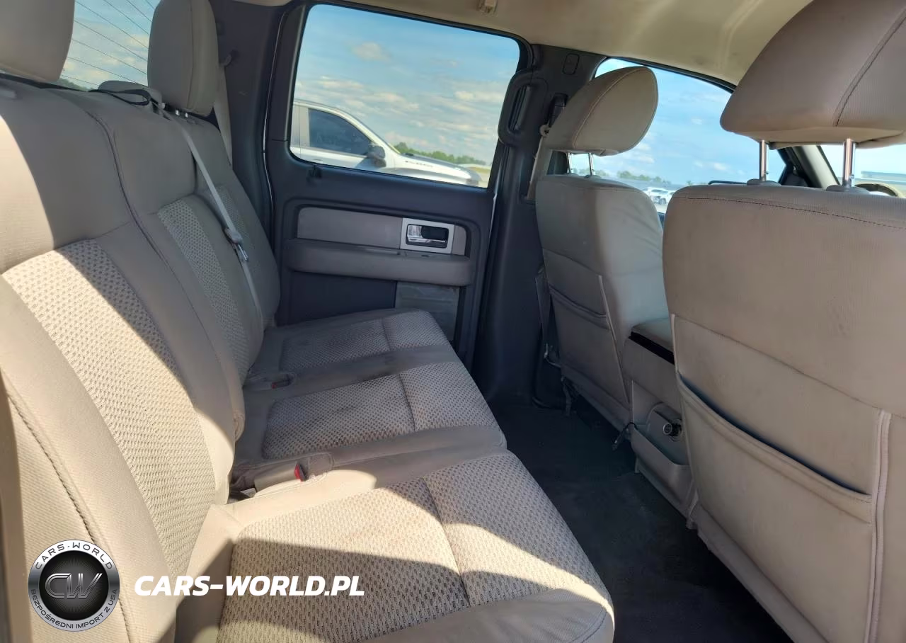 2010 Ford F150 Supercrew VIN:1FTFW1EV0AFB35996 - 10