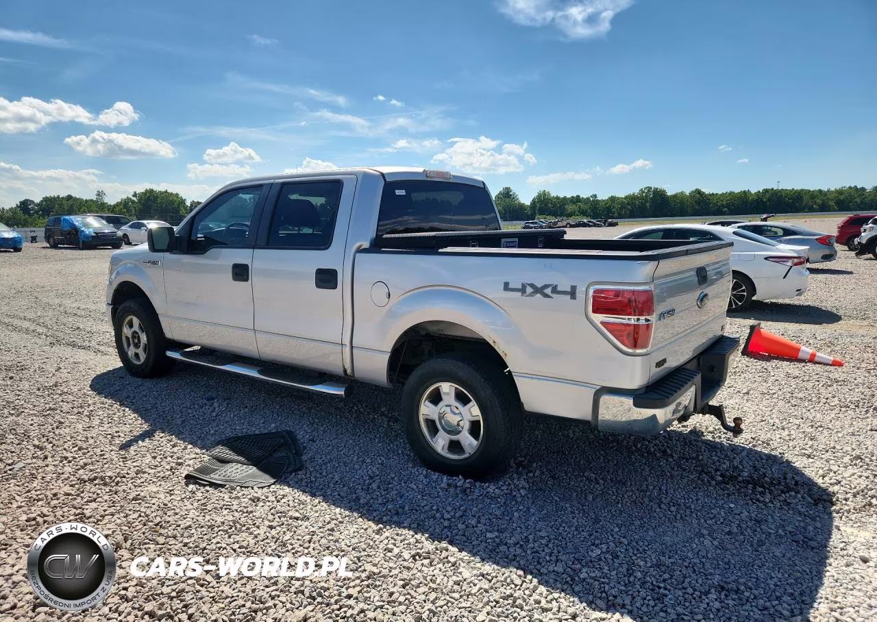 2010 Ford F150 Supercrew VIN:1FTFW1EV0AFB35996 - 2