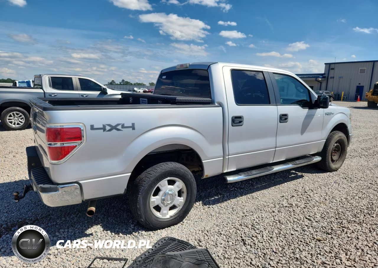 2010 Ford F150 Supercrew VIN:1FTFW1EV0AFB35996 - 3