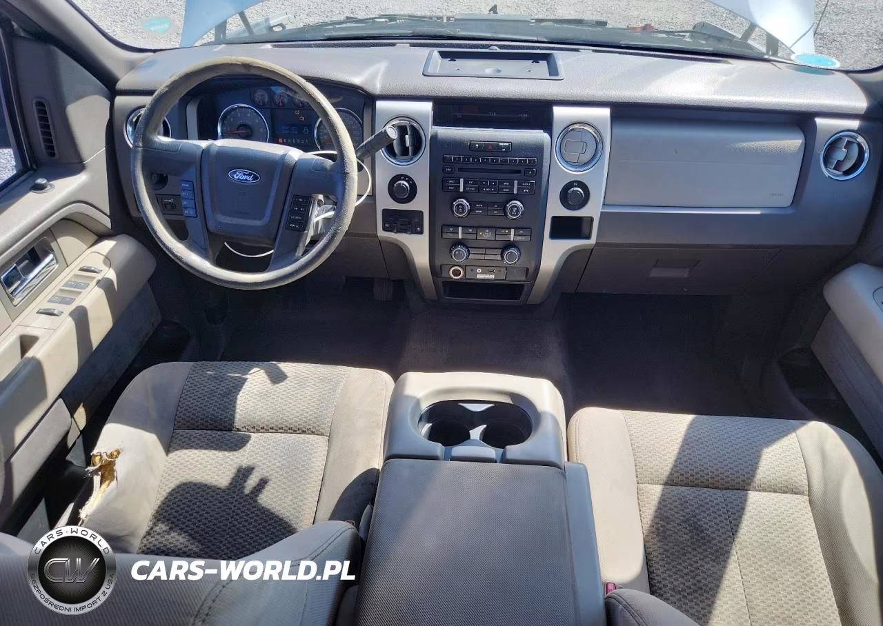 2010 Ford F150 Supercrew VIN:1FTFW1EV0AFB35996 - 8