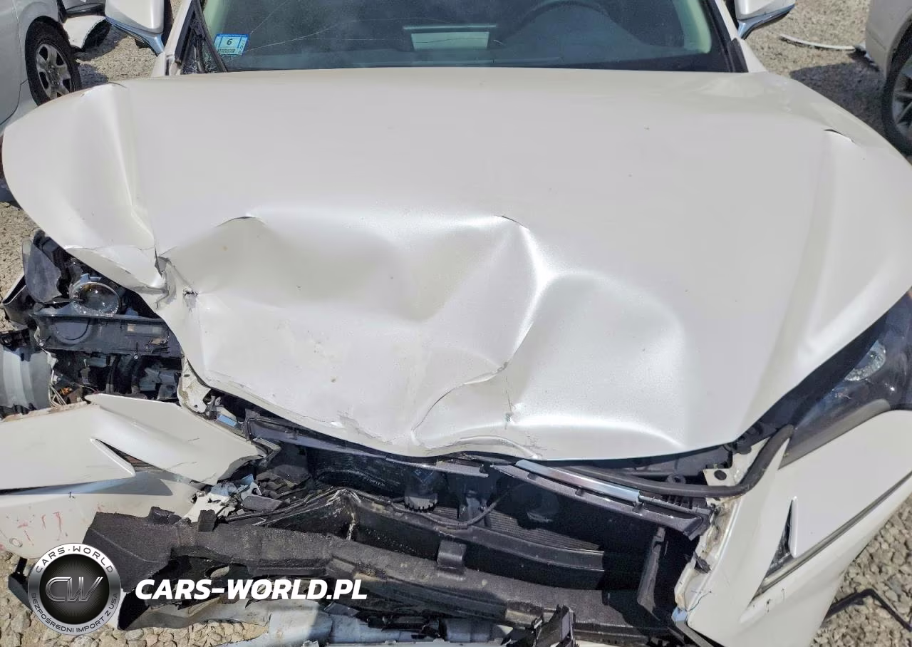 2018 Lexus Nx 300 Base VIN:JTJBARBZ8J2165674 - 12