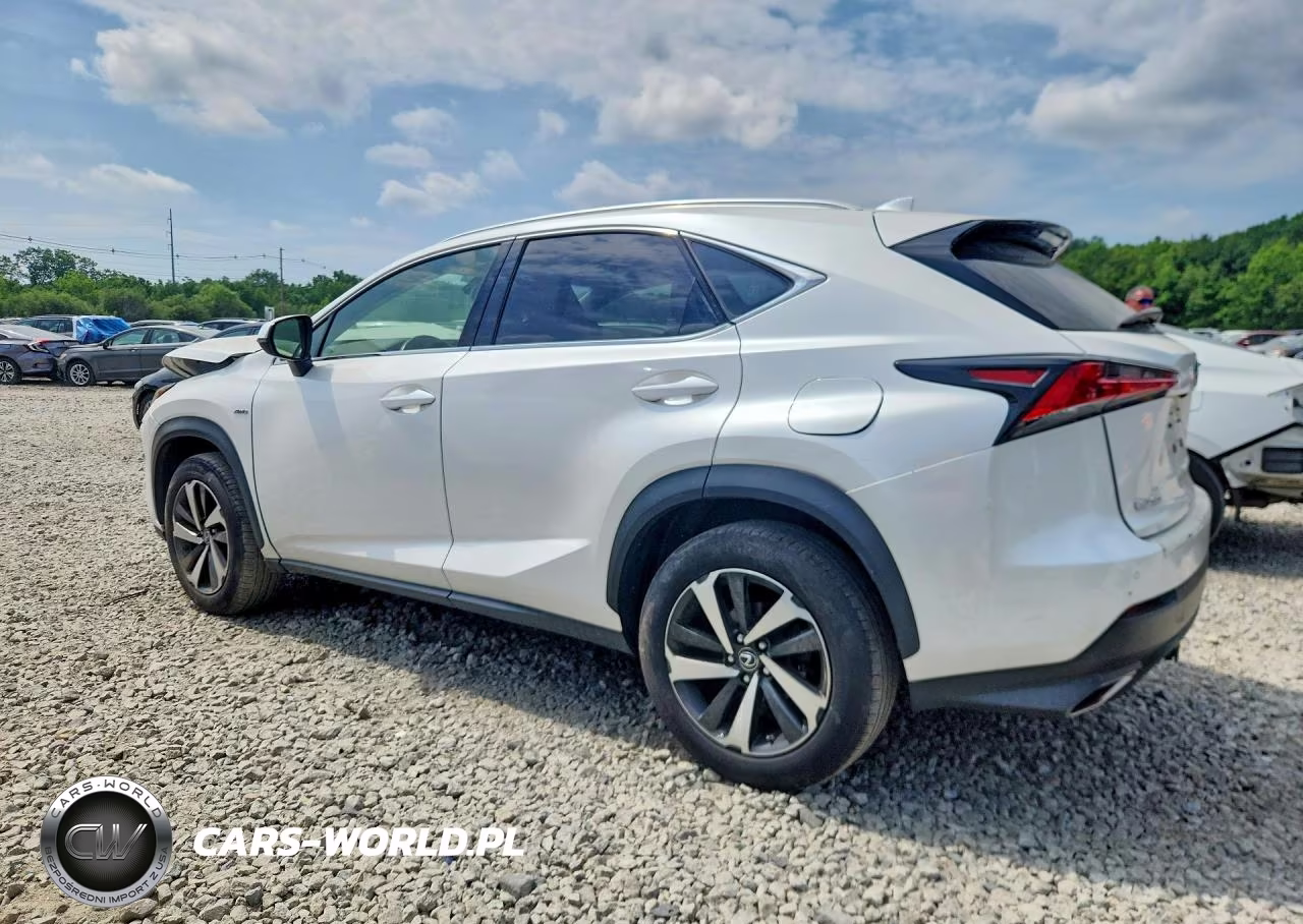 2018 Lexus Nx 300 Base VIN:JTJBARBZ8J2165674 - 2