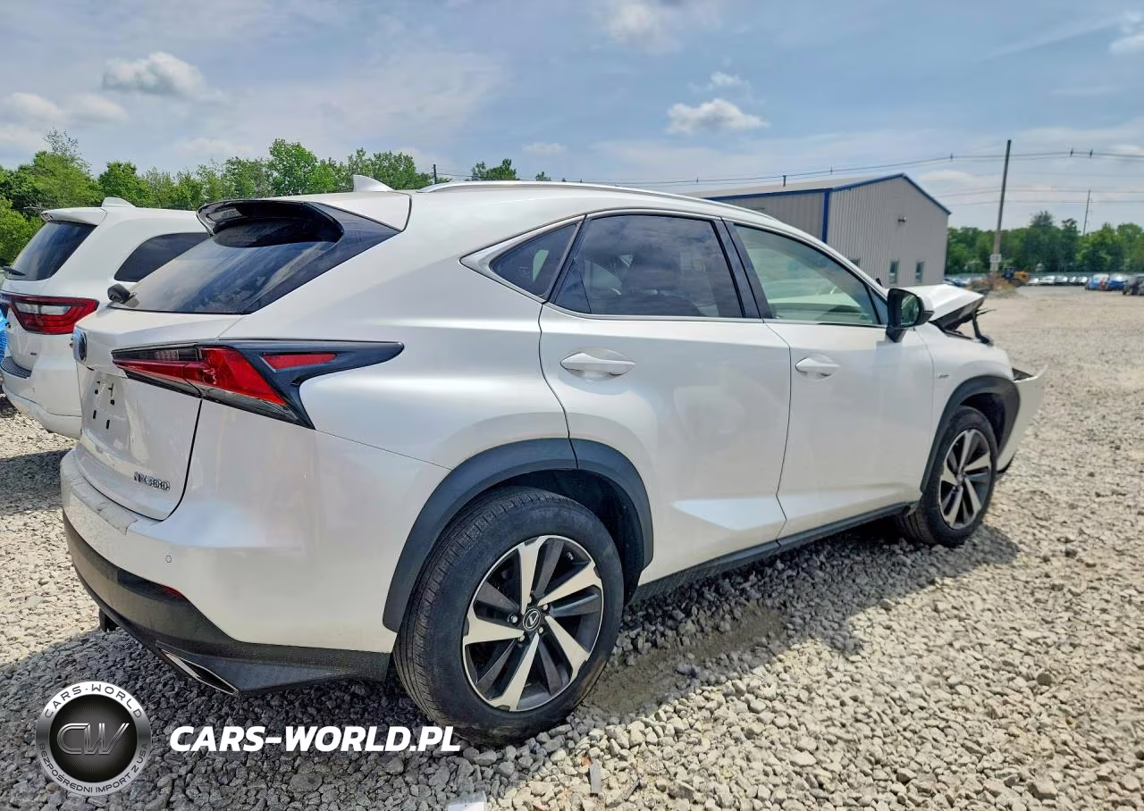 2018 Lexus Nx 300 Base VIN:JTJBARBZ8J2165674 - 3