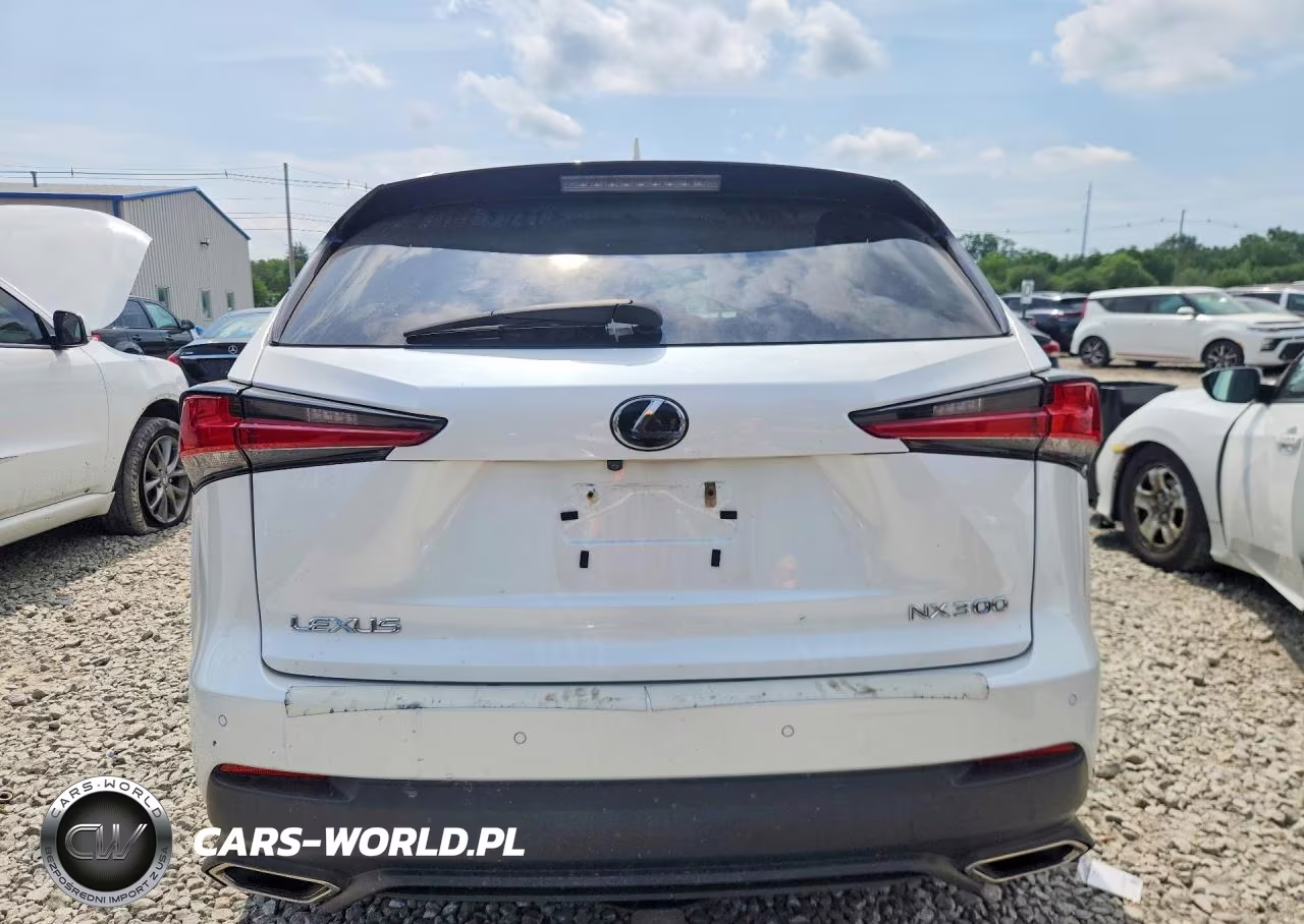 2018 Lexus Nx 300 Base VIN:JTJBARBZ8J2165674 - 6