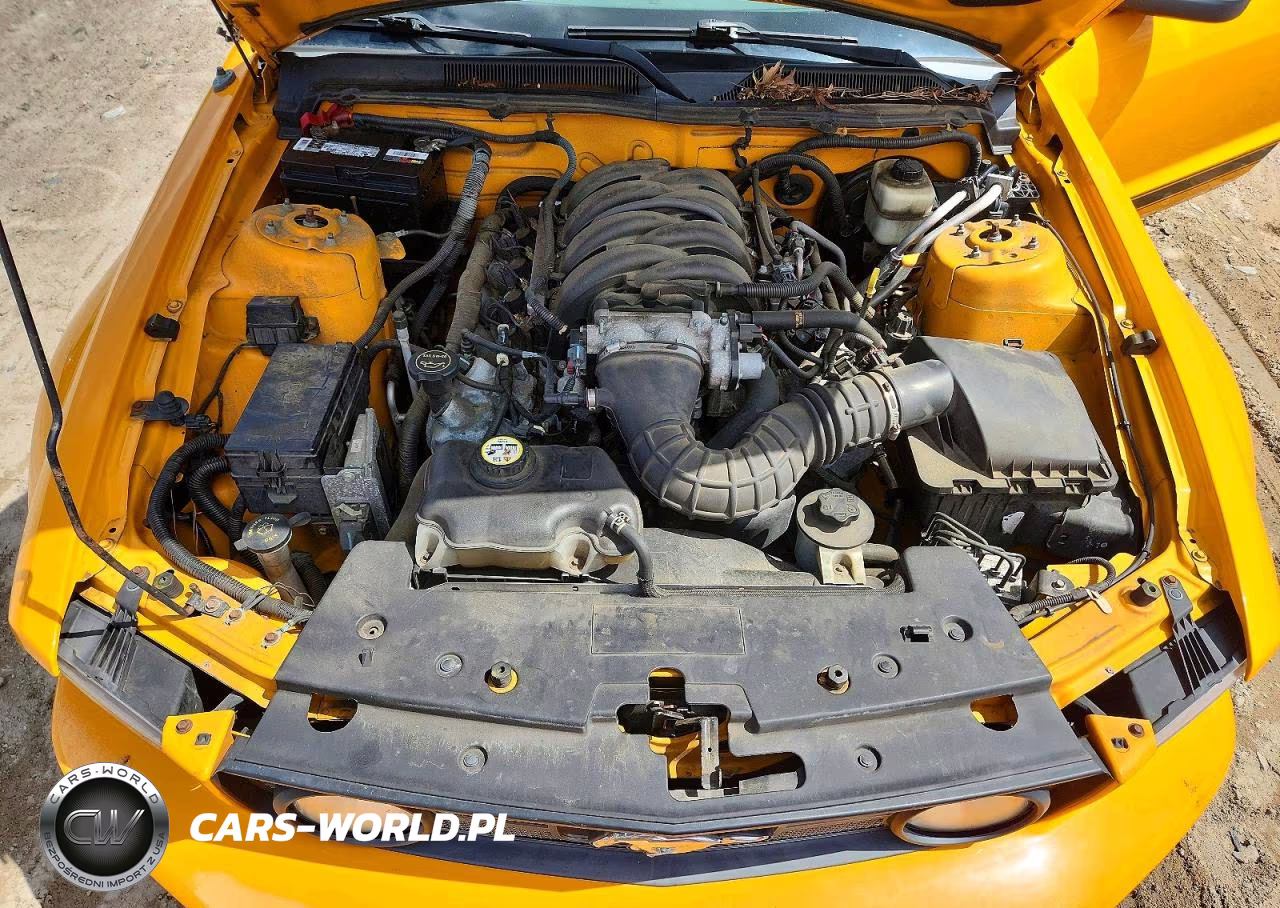 2008 Ford Mustang Gt VIN:1ZVHT85H285203085 - 11