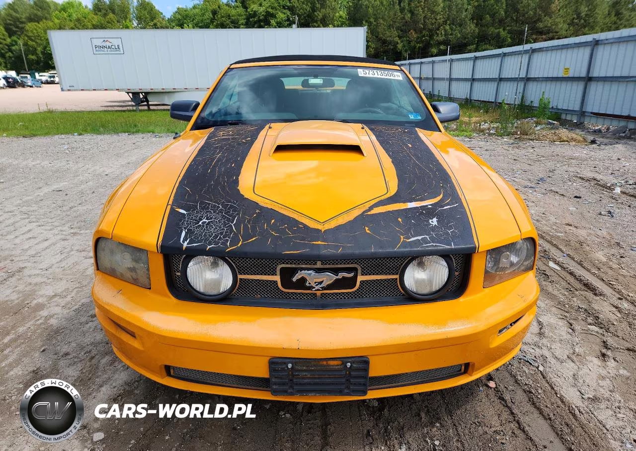 2008 Ford Mustang Gt VIN:1ZVHT85H285203085 - 5