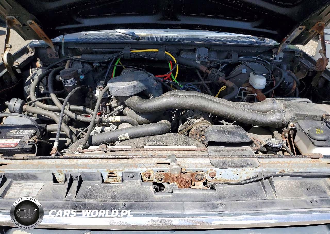 1991 Ford Bronco U100 VIN:1FMEU15H1MLA09532 - 12