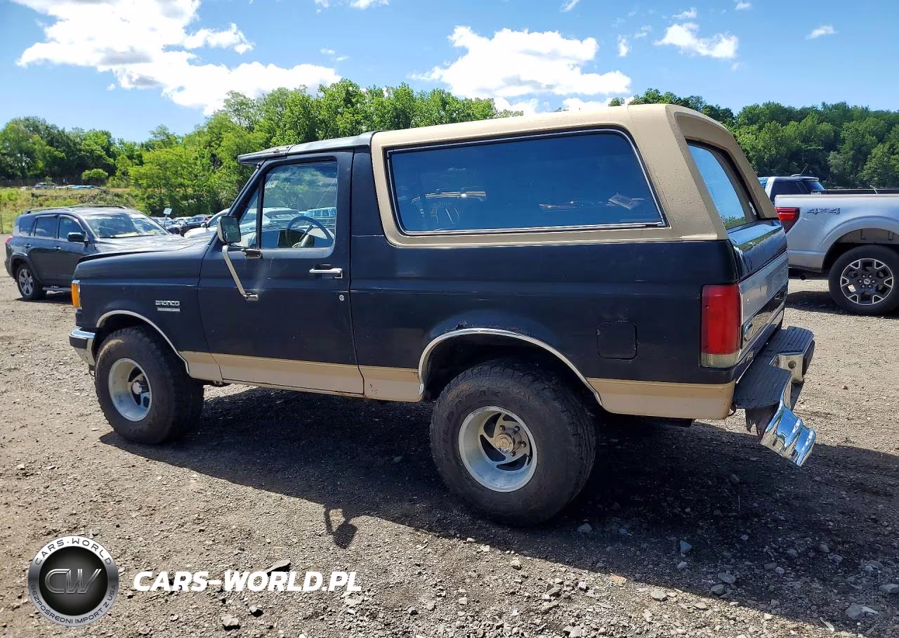 1991 Ford Bronco U100 VIN:1FMEU15H1MLA09532 - 2