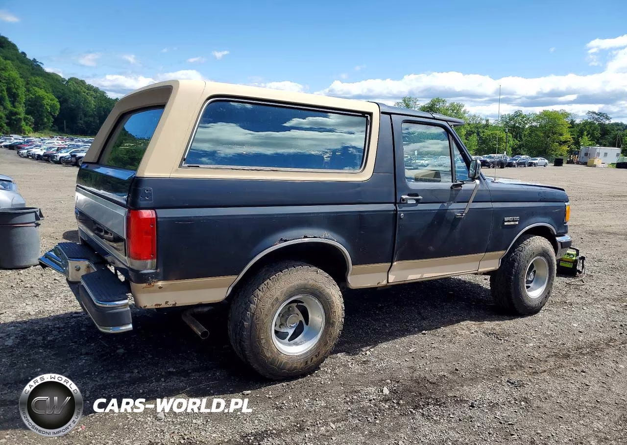 1991 Ford Bronco U100 VIN:1FMEU15H1MLA09532 - 3