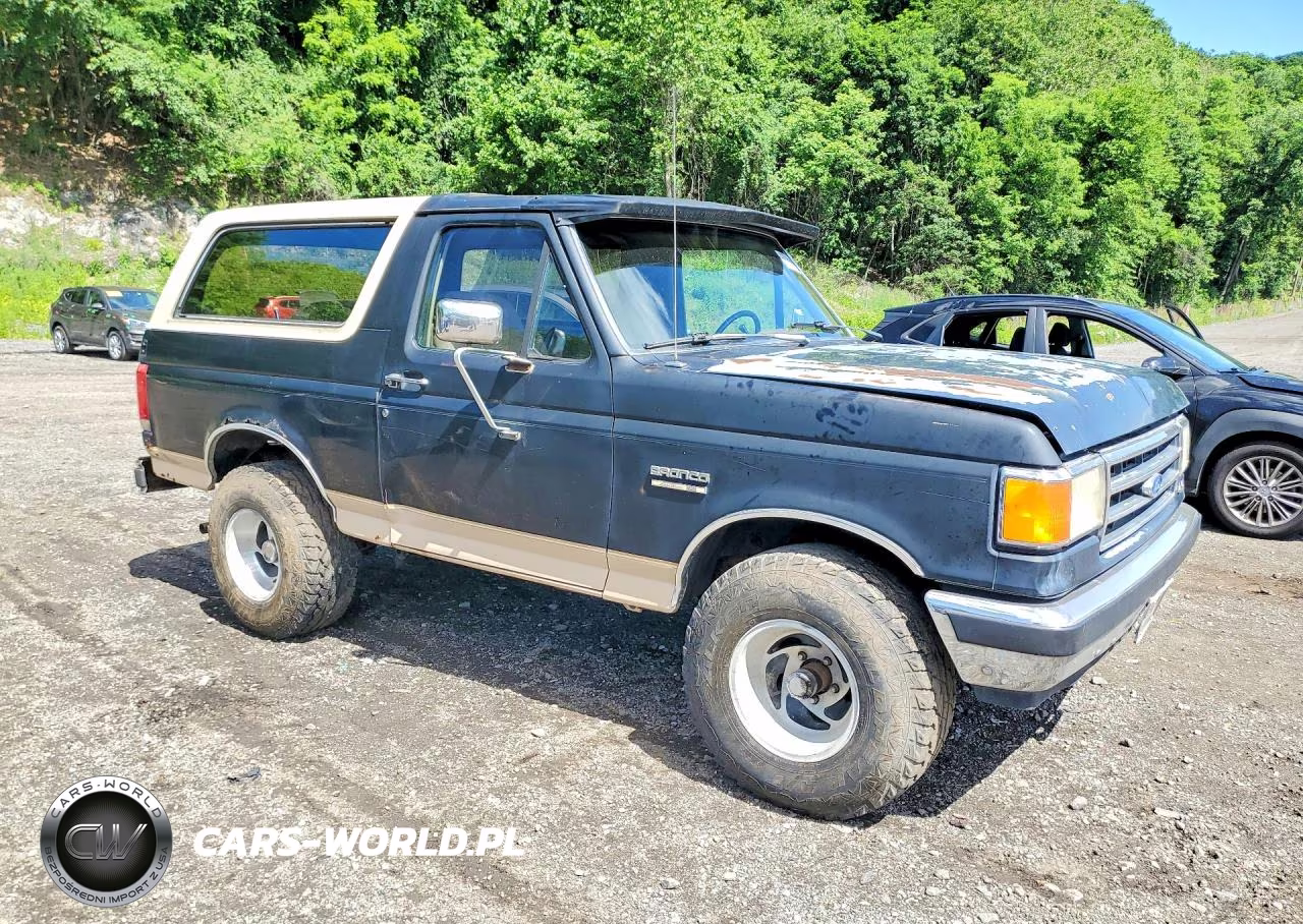1991 Ford Bronco U100 VIN:1FMEU15H1MLA09532 - 4