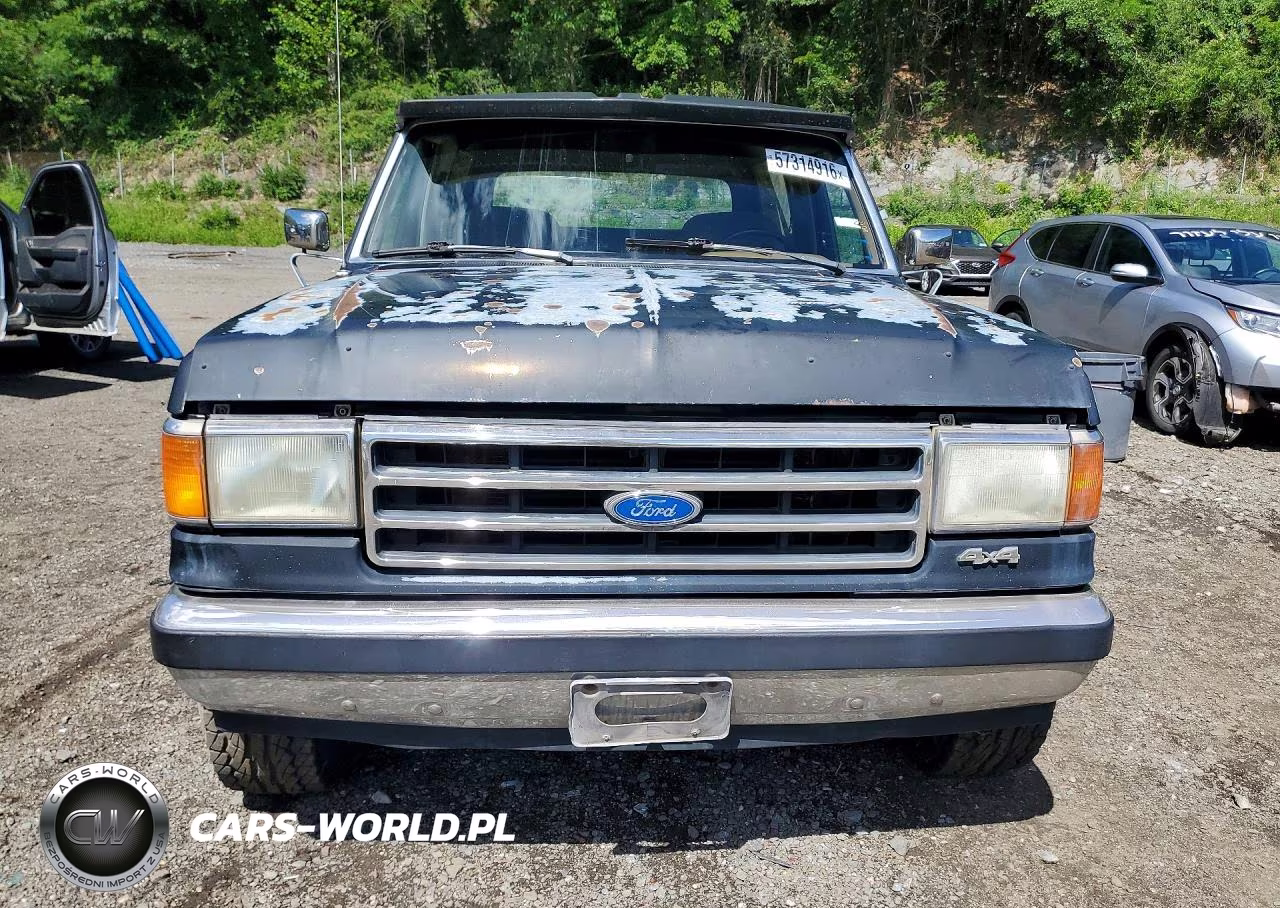 1991 Ford Bronco U100 VIN:1FMEU15H1MLA09532 - 5