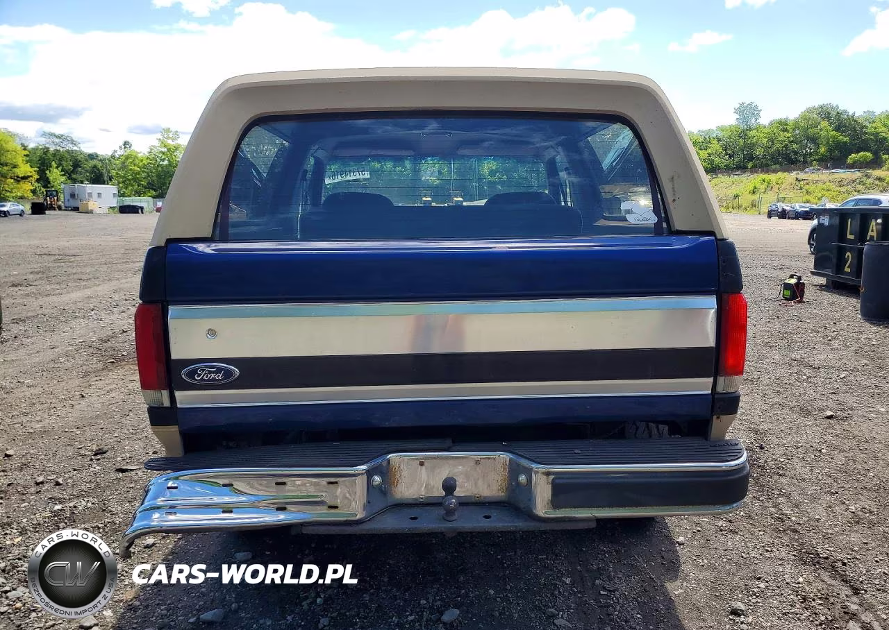 1991 Ford Bronco U100 VIN:1FMEU15H1MLA09532 - 6
