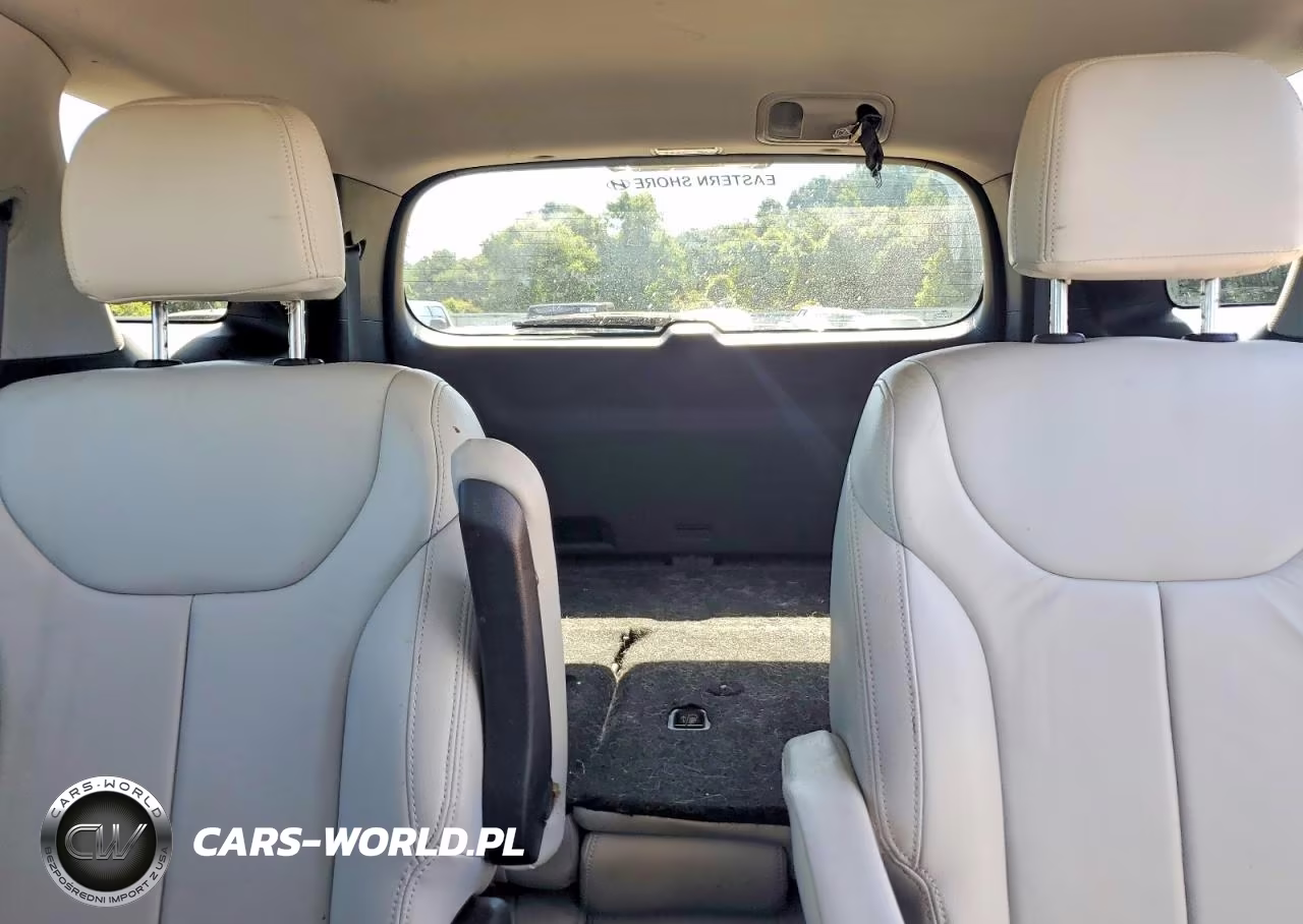 2020 Hyundai Palisade Sel VIN:KM8R24HE3LU104970 - 10