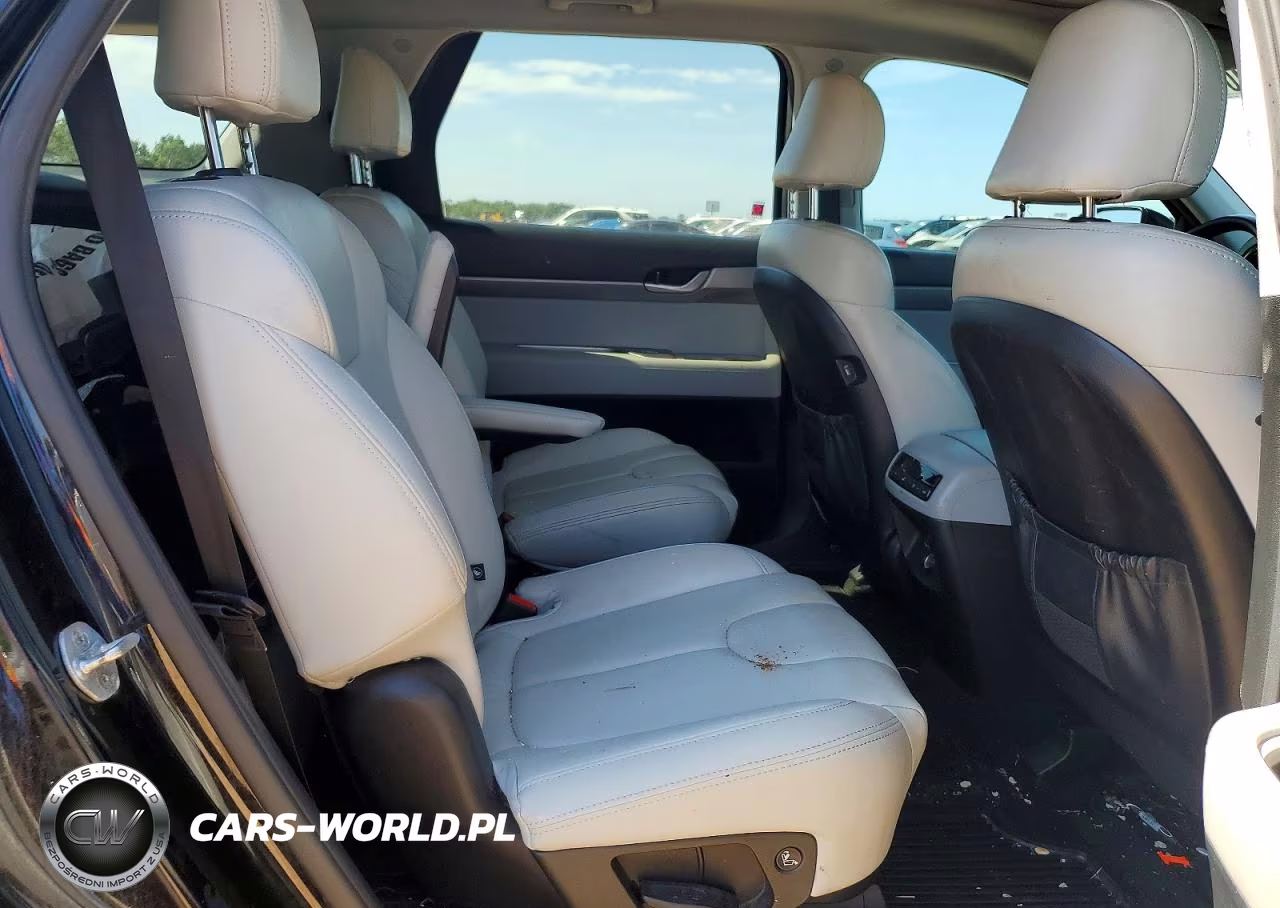2020 Hyundai Palisade Sel VIN:KM8R24HE3LU104970 - 11