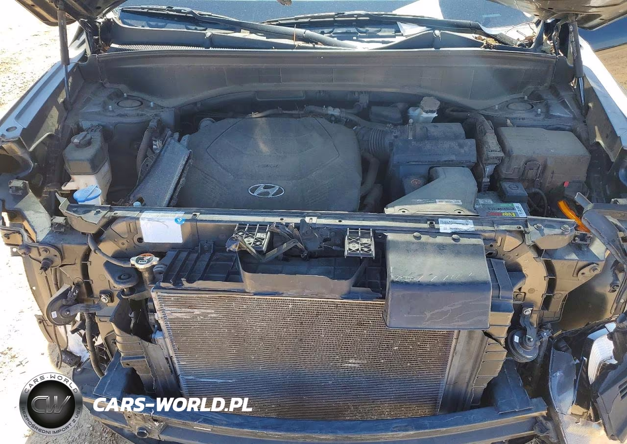 2020 Hyundai Palisade Sel VIN:KM8R24HE3LU104970 - 12