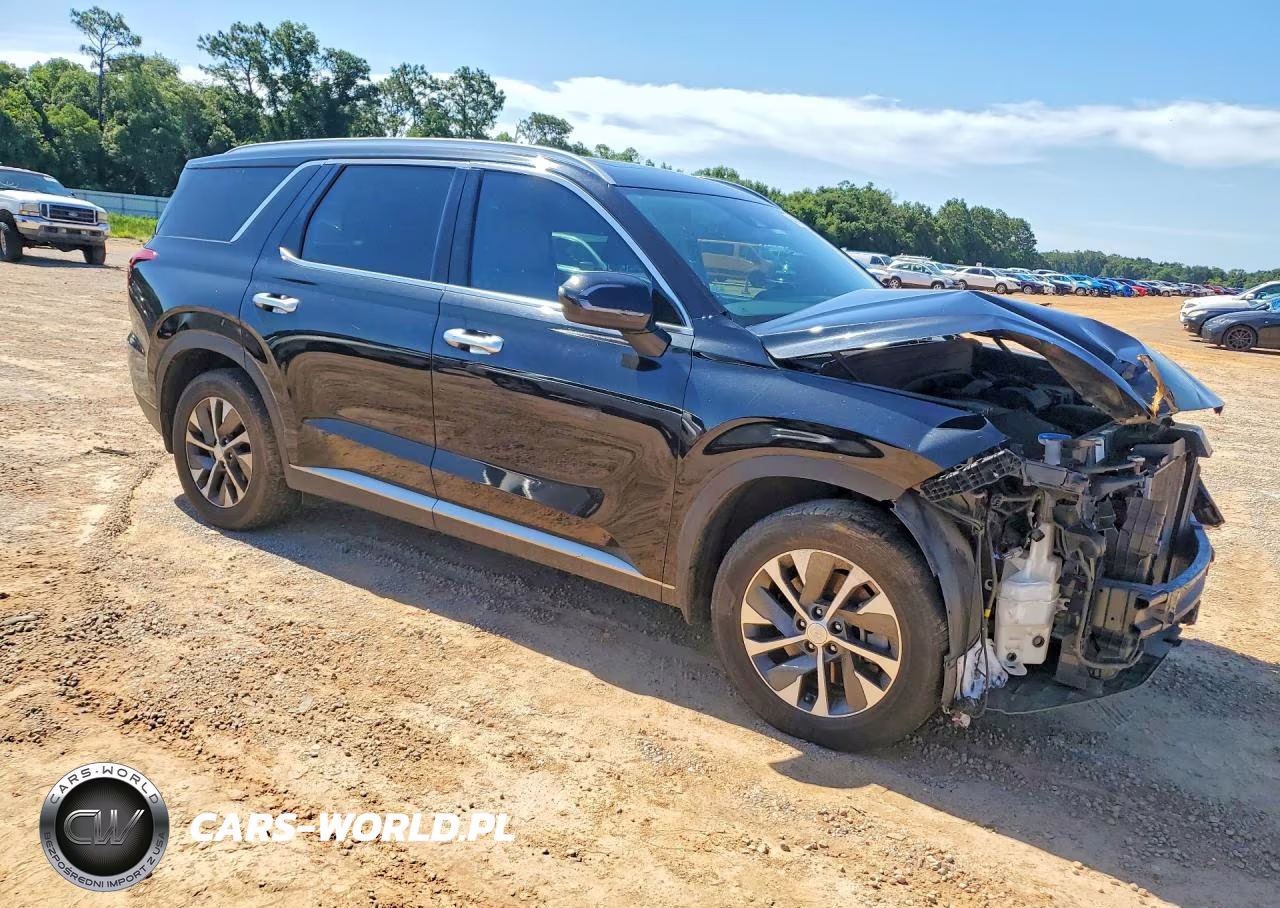 2020 Hyundai Palisade Sel VIN:KM8R24HE3LU104970 - 4