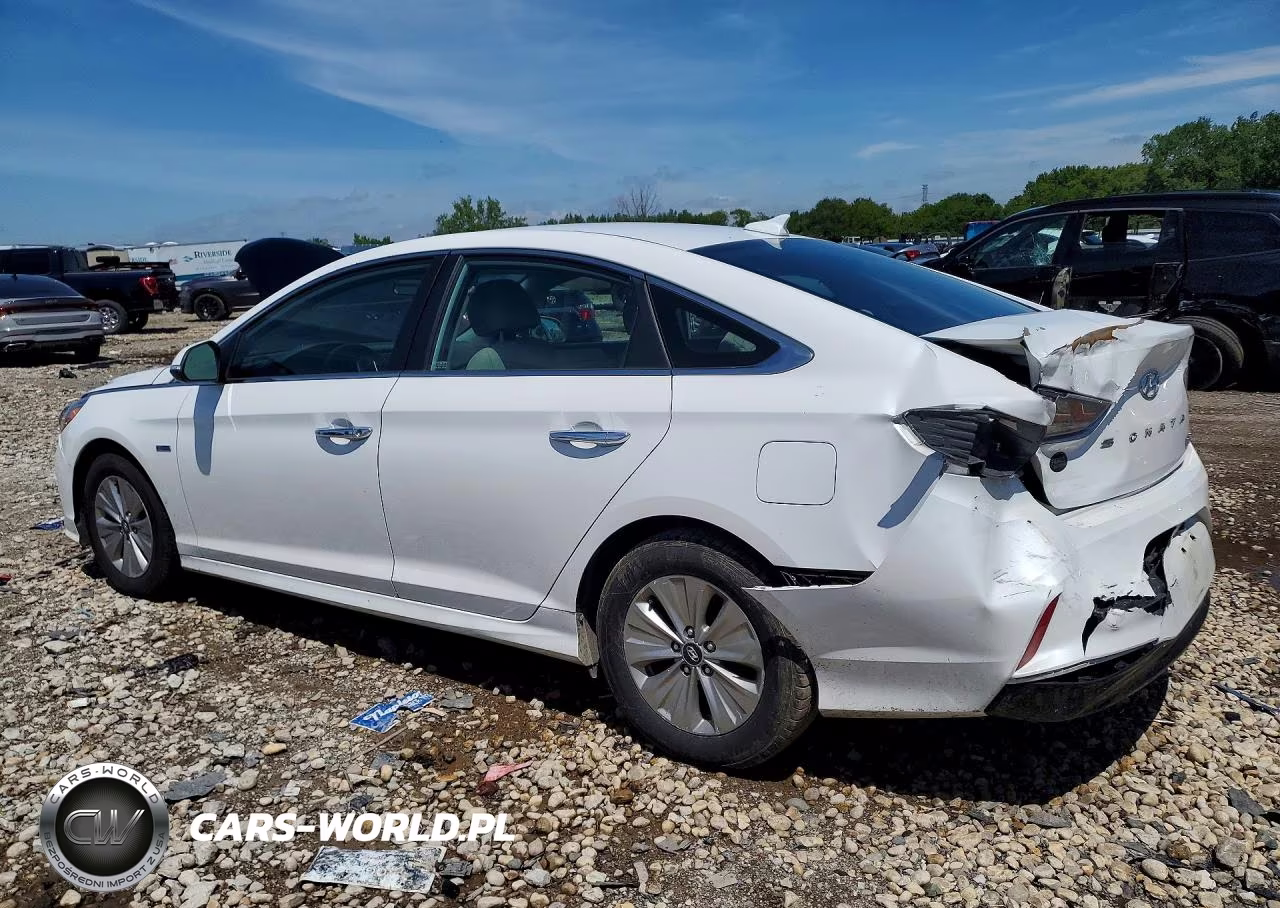 2019 Hyundai Sonata Hybrid Se VIN:KMHE24L36KA091717 - 2