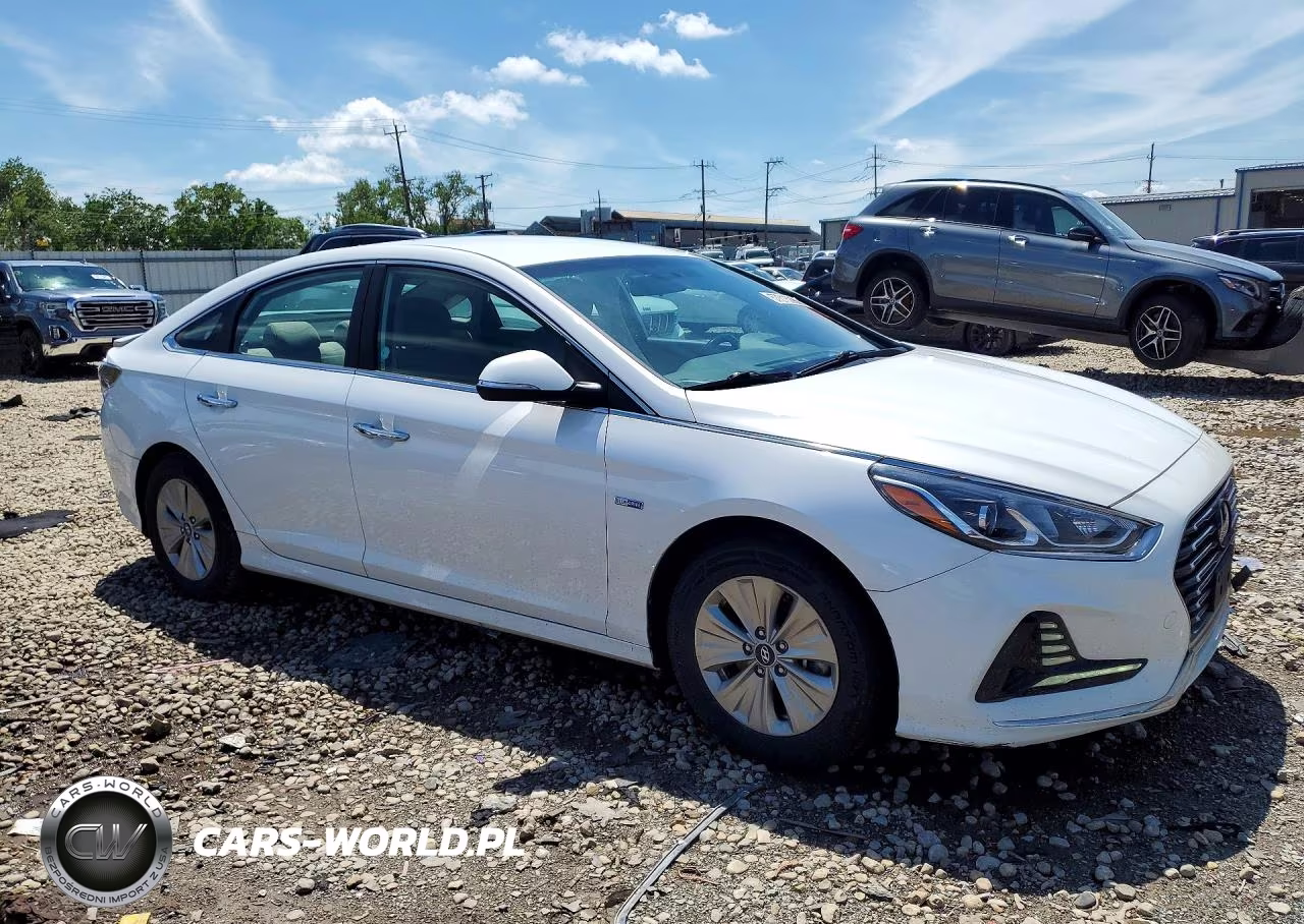 2019 Hyundai Sonata Hybrid Se VIN:KMHE24L36KA091717 - 4