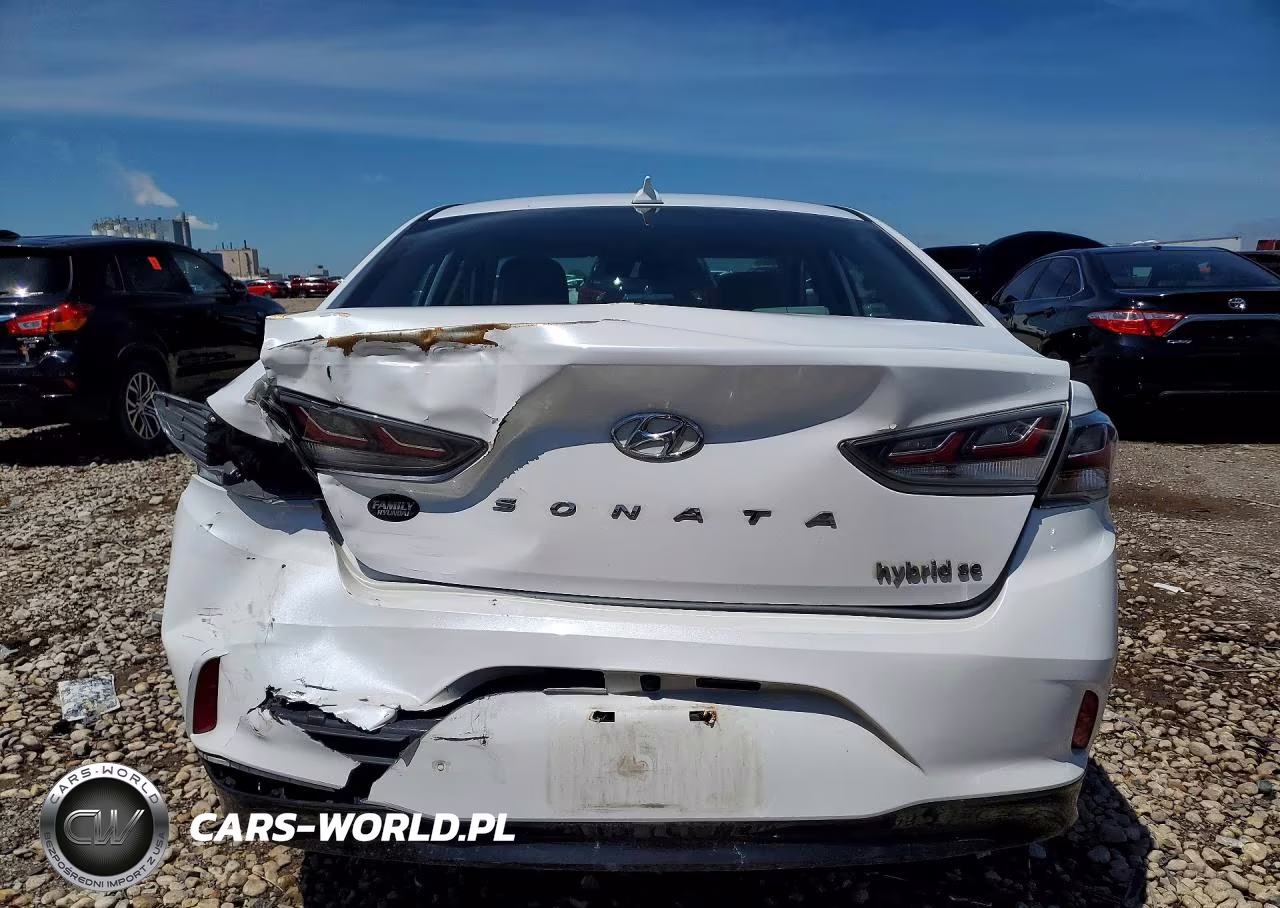 2019 Hyundai Sonata Hybrid Se VIN:KMHE24L36KA091717 - 6