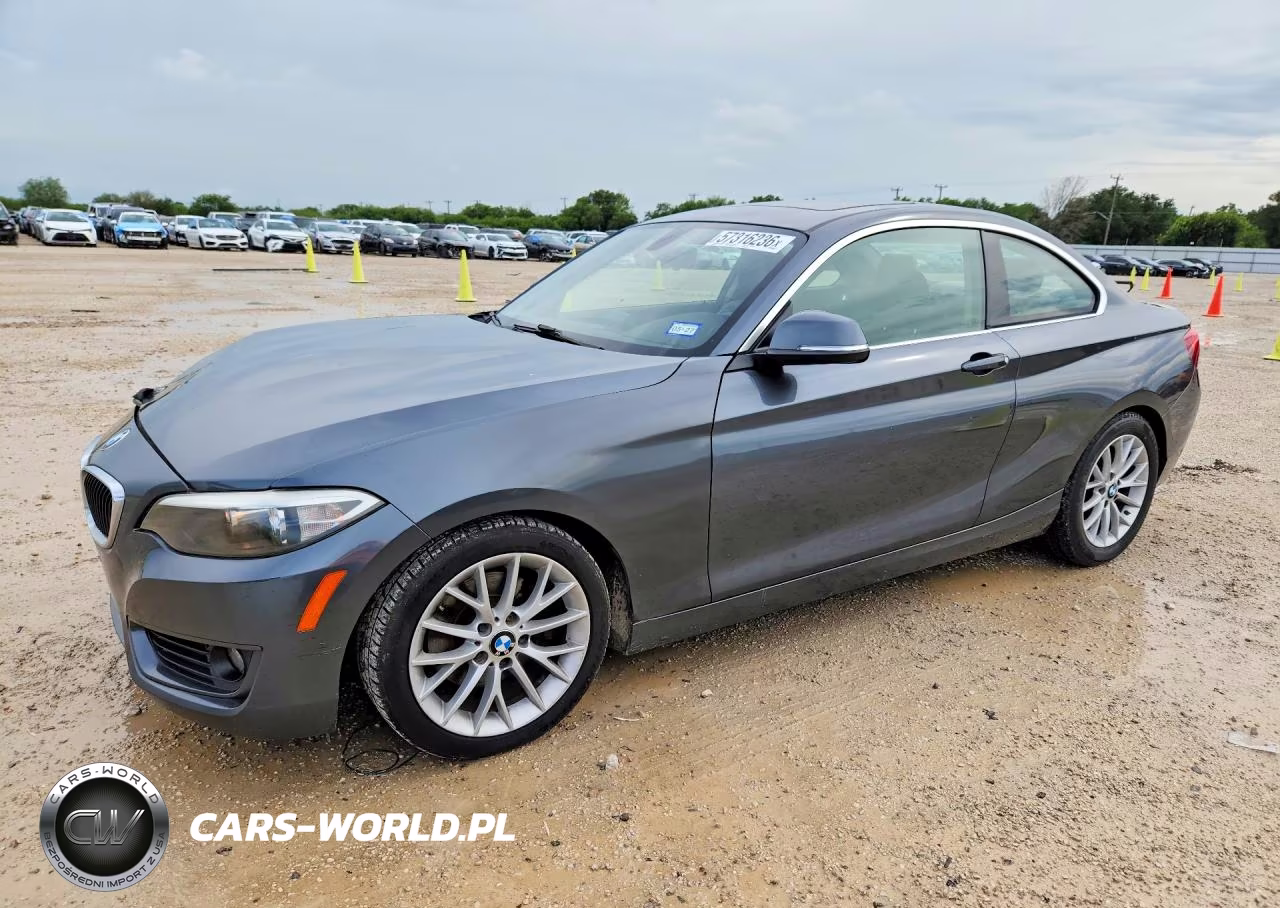 2014 BMW 228 I – zdjęcie 1 z 12