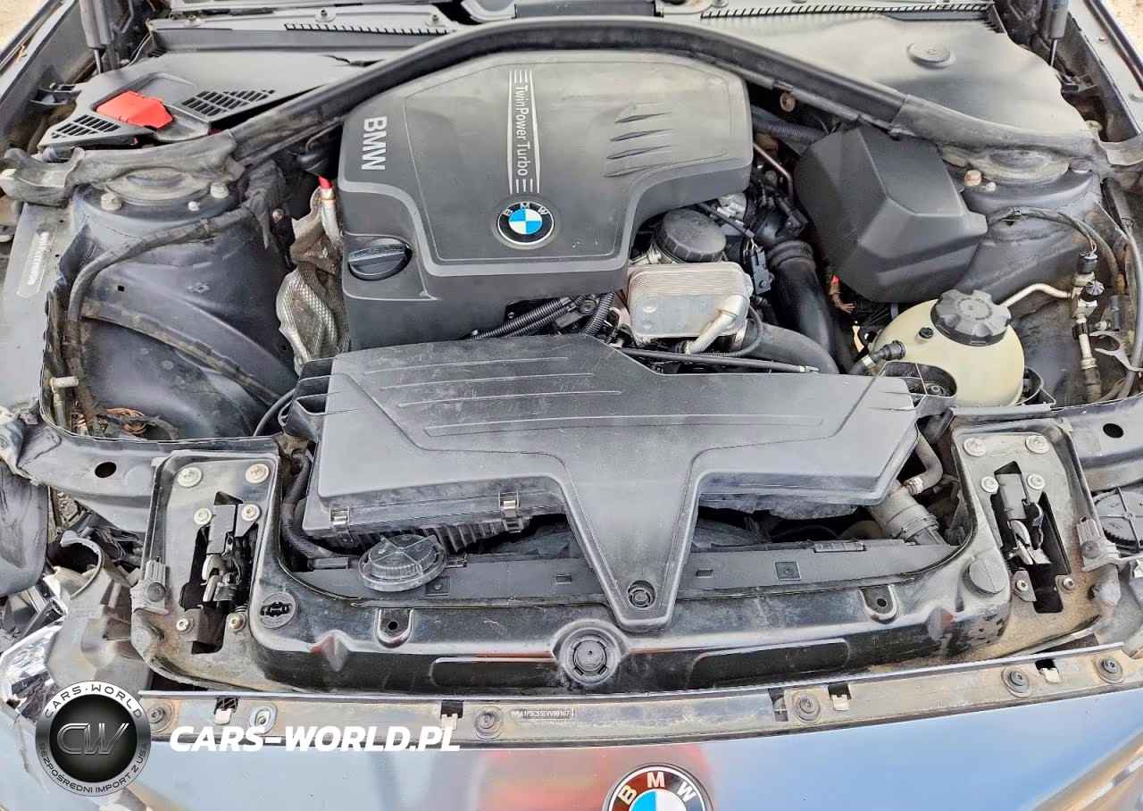 2014 BMW 228 I VIN:WBA1F5C55EVV99167 - 11