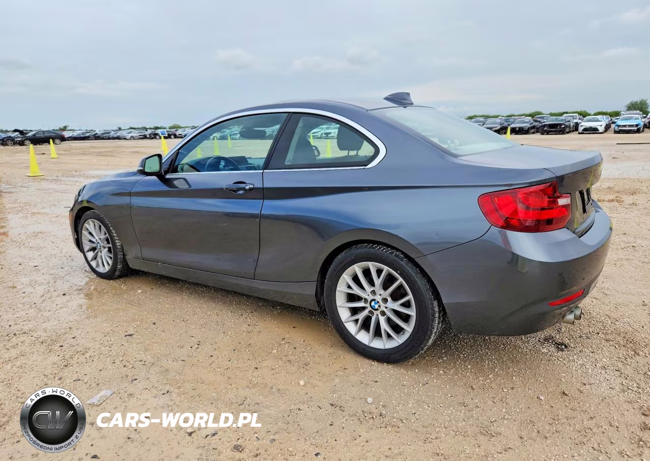 2014 BMW 228 I VIN:WBA1F5C55EVV99167 - 2