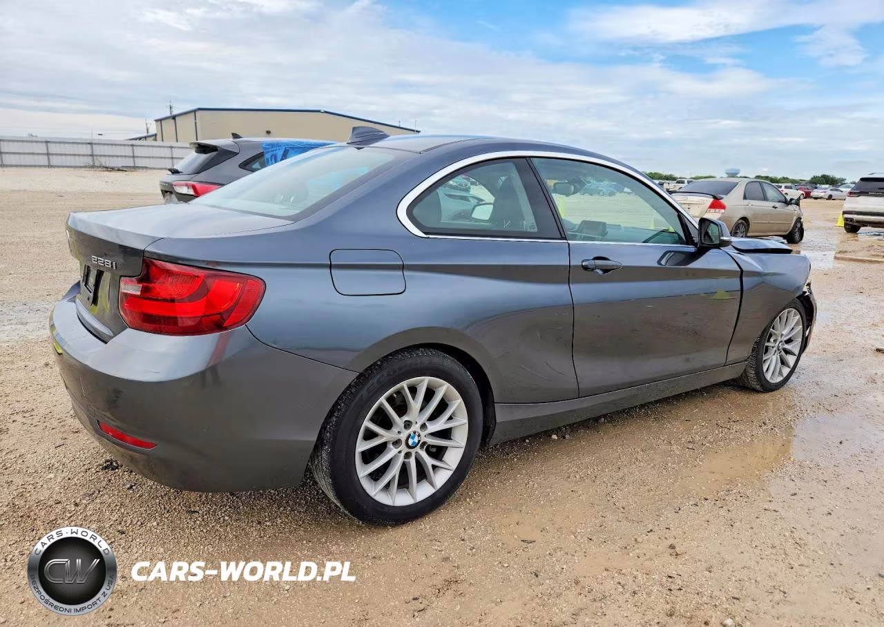 2014 BMW 228 I VIN:WBA1F5C55EVV99167 - 3