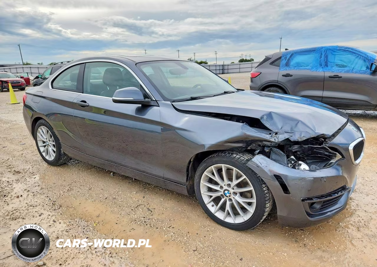2014 BMW 228 I VIN:WBA1F5C55EVV99167 - 4