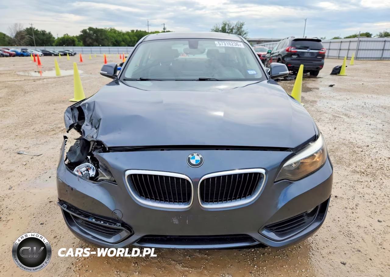 2014 BMW 228 I VIN:WBA1F5C55EVV99167 - 5
