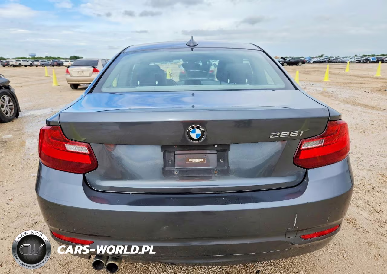 2014 BMW 228 I VIN:WBA1F5C55EVV99167 - 6