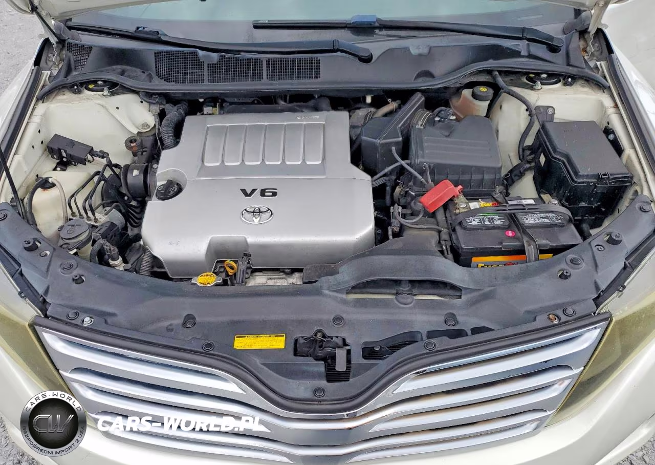 2010 Toyota Venza Awd V6 VIN:4T3BK3BB0AU042247 - 12