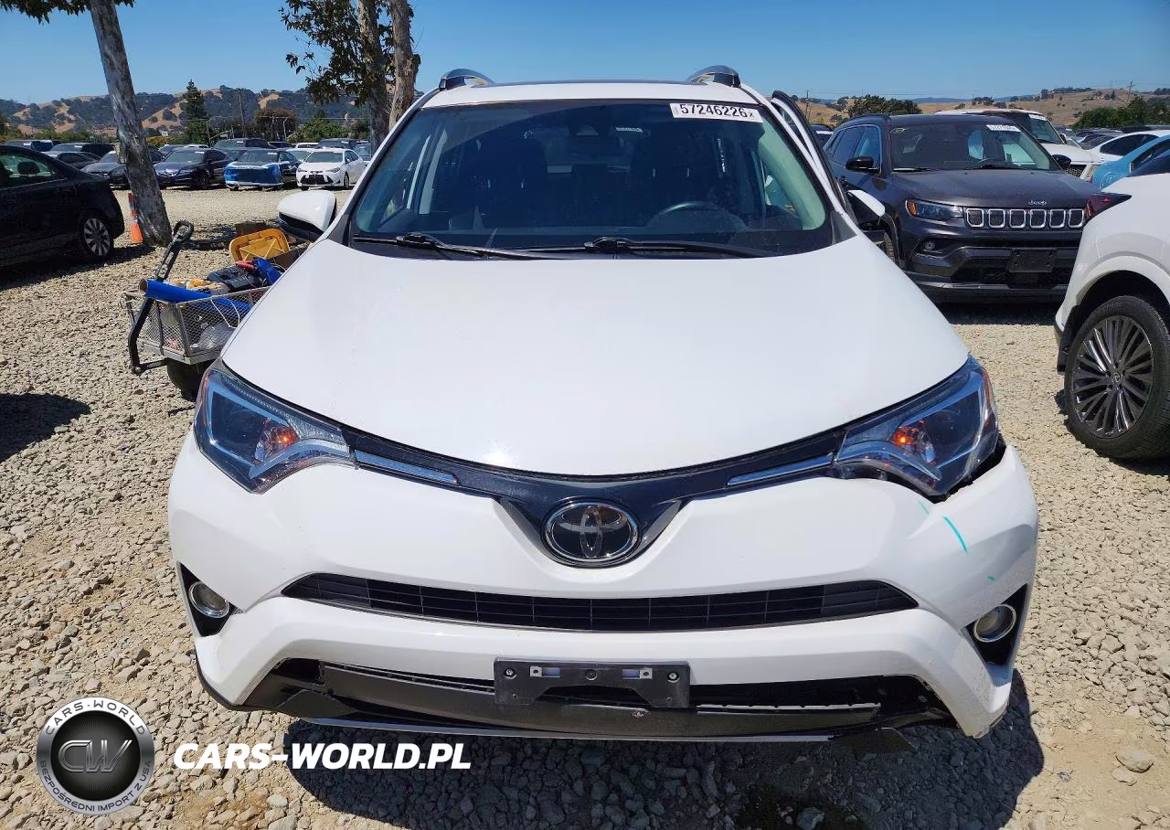 2017 Toyota Rav4 Xle VIN:2T3RFREV1HW672798 - 5