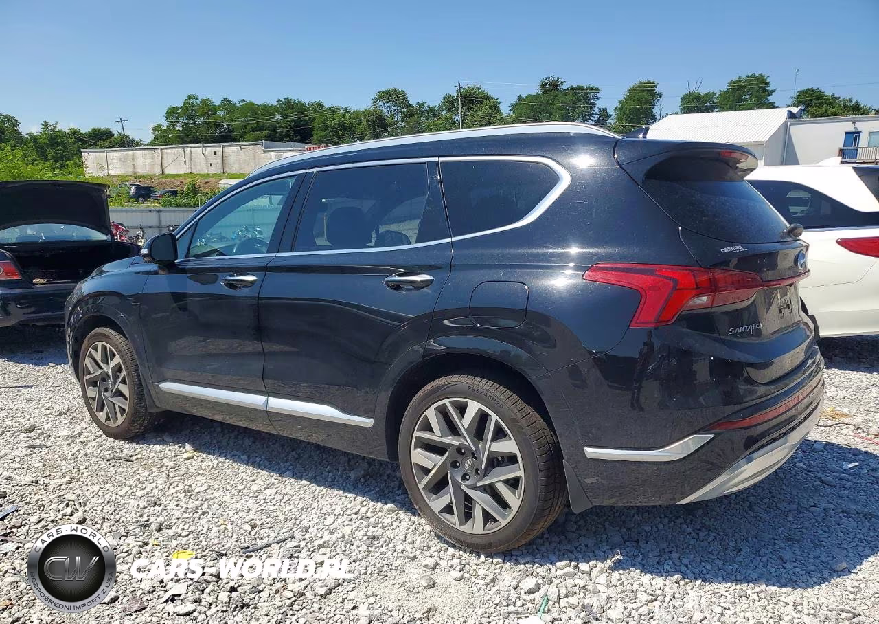 2022 Hyundai Santa Fe Calligraphy VIN:5NMS54AL4NH446430 - 2