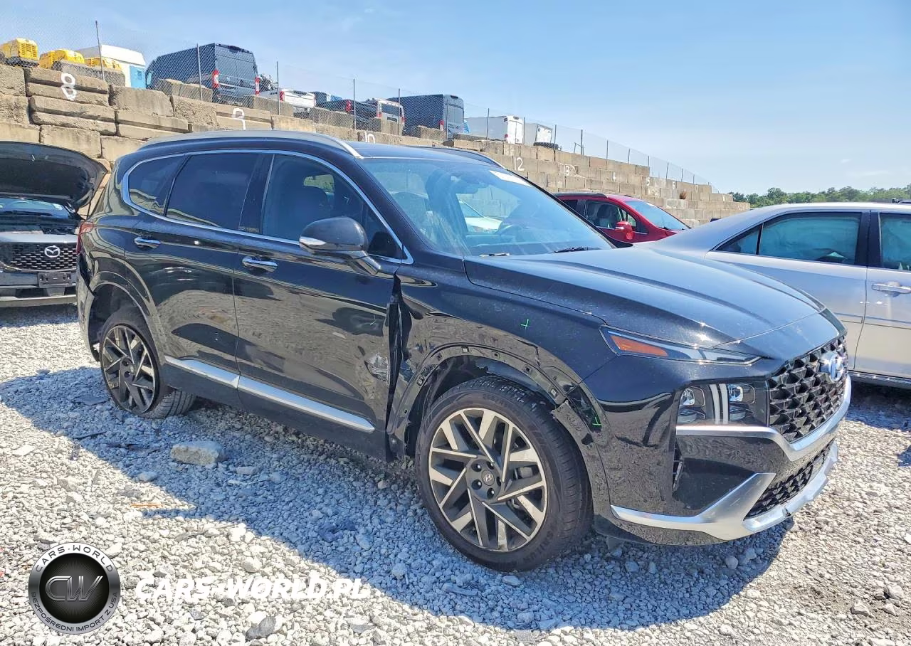 2022 Hyundai Santa Fe Calligraphy VIN:5NMS54AL4NH446430 - 4