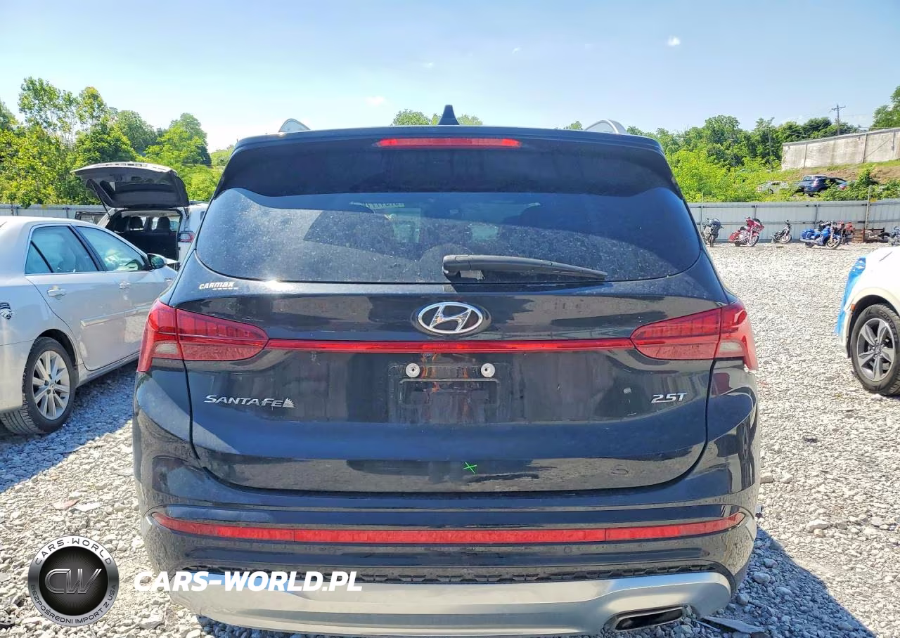 2022 Hyundai Santa Fe Calligraphy VIN:5NMS54AL4NH446430 - 6