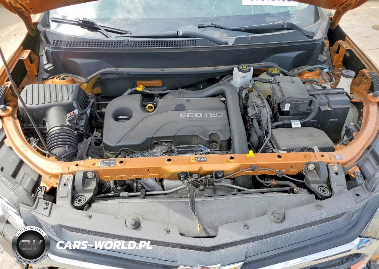 2019 Chevrolet Equinox Ls VIN:2GNAXHEV1K6195420 - 12